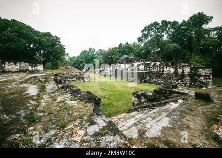 Rovine dell'acropoli centrale di Tikal Foto Stock