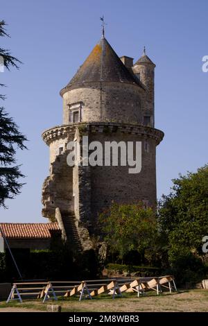 Torre del Castello di Apremont Castello, Vendee, Francia Foto Stock