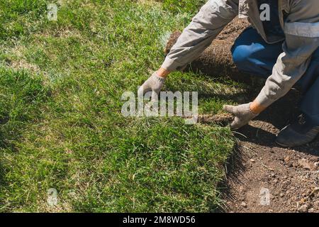 Primo piano uomo che posa rotoli di erba erbosa per il nuovo prato da giardino Foto Stock