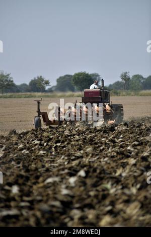 trattore cingolato d'epoca che tira coltivatore d'epoca al giorno dell'aratura brampton beccles suffolk Foto Stock