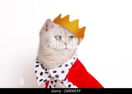 Divertente gatto bianco in una corona d'oro e mantello rosso su sfondo bianco Foto Stock