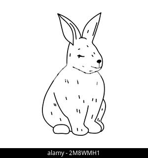 Adorablebunny in stile doodle disegnato a mano. Coniglietto carino seduto. Animale domestico. Attività della pagina di colorazione. Isolato su sfondo bianco Illustrazione Vettoriale