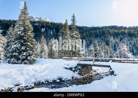 Ponte di legno su un torrente in un bellissimo paesaggio montano coperto di neve fresca in una giornata invernale suuny Foto Stock