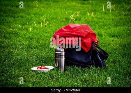 Pronto per un viaggio - sacchetto in denim in erba con themos di caffè e ciotola di fragole e giacca in pile rossa gettata sopra Foto Stock