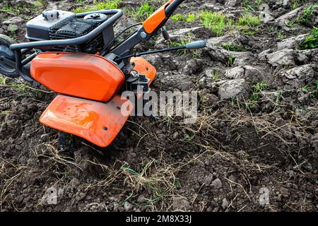 Coltivatore professionale arancione o timone su terreno non trattato prima dell'aratura. Trattamento di terra vergine prima di piantare giovani pianta. Foto Stock