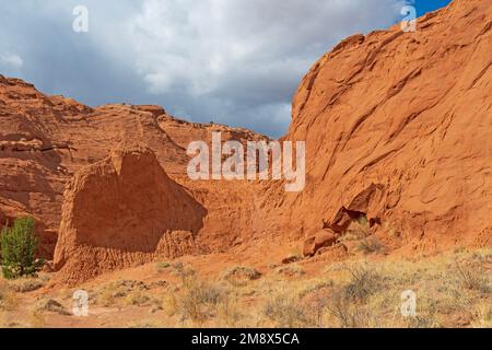 Scogliere contorte ed erose nel deserto nel Kodachrome Basin state Park nello Utah Foto Stock