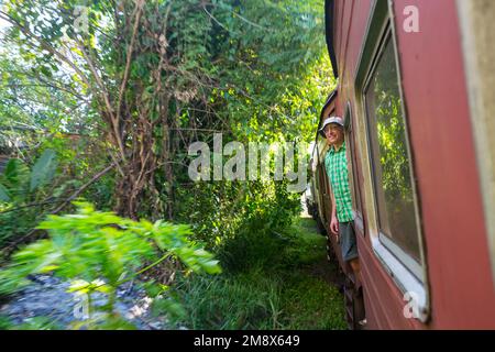 Turista godendo di un viaggio in treno da Ella a Kandy tra le piantagioni di tè nelle Highlands dello Sri Lanka Foto Stock