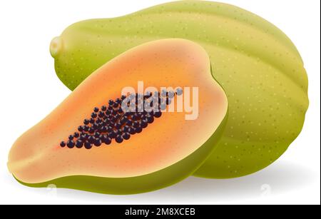 Papaya metà e intero Illustrazione Vettoriale