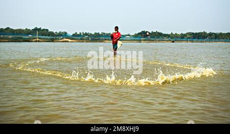 Gamberetti e gamberetti considerati come un oro bianco per gli agricoltori del Bangladesh meridionale come è la loro principale raccolta di denaro e fonte di cambio per il Foto Stock