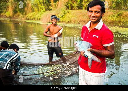 Gamberetti e gamberetti considerati come un oro bianco per gli agricoltori del Bangladesh meridionale come è la loro principale raccolta di denaro e fonte di cambio per il Foto Stock