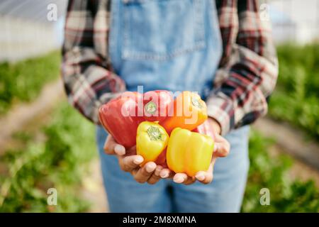 La cena sta per essere gustosa. un agricoltore irriconoscibile che tiene un mazzo di peperoni appena raccolti. Foto Stock