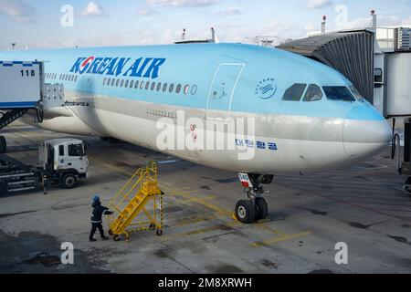 Seul, Corea. 22nd Dec, 2022. Un Korean Air Airbus A330 è preparato per un volo verso il Giappone dall'equipaggio della rampa che carica merci, bagagli e forniture di catering a temperature di congelamento. Korean Air (KE) è la compagnia aerea di bandiera della Corea del Sud, con sede a Seoul. È una delle 20 compagnie aeree più importanti al mondo e membro dell'alleanza delle compagnie aeree SkyTeam. La compagnia aerea gestisce il suo hub principale all'aeroporto internazionale di Incheon (ICN) e il suo hub secondario all'aeroporto internazionale di Gimpo (GMP) a Seoul. Korean Air offre voli internazionali e nazionali per destinazioni in tutto il mondo con una flotta moderna Foto Stock