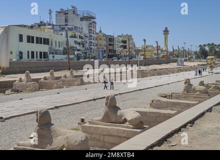 Sphinx Avenue tra Karnak e Luxor Tempio, Luxor, Egitto Foto Stock