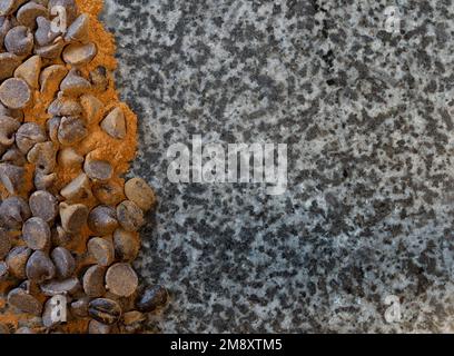Caffè fagioli e Chocolate Chips su marmo Foto Stock