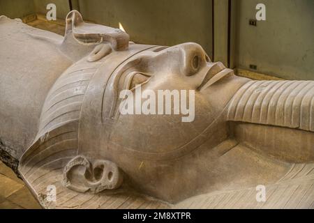 Statua colossale di Ramses II, museo, con Rathina, Memphis, Egitto Foto Stock