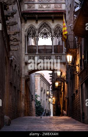 Bishop's Bridge, un ponte neogotico tra il Palazzo della Generalitat con la Casa dei Canoni che passa su Bishop Street (Barcellona, Spagna) Foto Stock