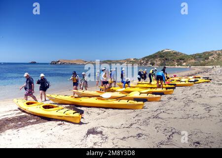 Kayak che si prepara sulla spiaggia, Penguin Island, Shoalwater Islands Marine Park, vicino a Perth, Australia Occidentale. No MR o PR Foto Stock