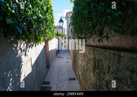 Saint Trope strada stretta con piante e sole Foto Stock