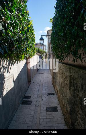 Saint Trope strada stretta con piante e sole Foto Stock