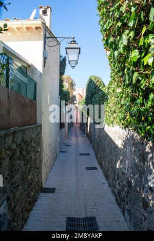 Saint Trope strada stretta con piante e sole Foto Stock