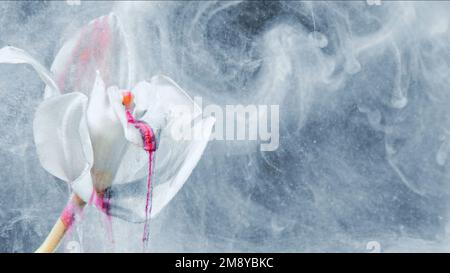 fantasia fiore sfondo astratto bianco nebbia d'inchiostro Foto Stock