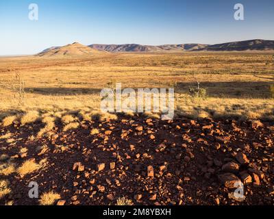 Vista a nord dalla prima collina sul monte Bruce (Punurrunha), costone occidentale rivestito di spinifex. Parco Nazionale di Karijini, Australia Occidentale. Foto Stock