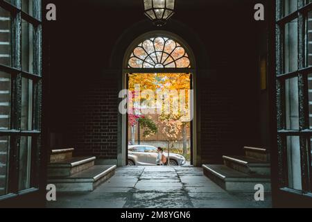 Una vista di una strada in autunno attraverso una porta ad arco aperta. Foto Stock