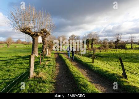 Attività ricreative locali nella riserva naturale Rheinaue Binsheim sulle rive del Reno a Duisburg-Baerl Foto Stock