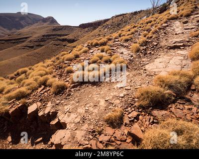 Sentiero per il Monte Bruce (Punurrunha) 1234m da lastre di pietra sulla cresta ovest), Parco Nazionale Karijini, Australia Occidentale Foto Stock