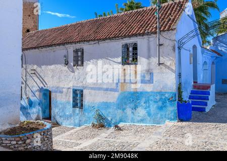 Case e Riad nella bella città di Chefchaouen in Marocco. Conosciuta come Chaouen, la Perla Blu, la Città Blu o شفشاون الجوهرة الزرقاء . Foto Stock