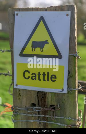 Lincolnshire, Inghilterra Regno Unito - Un segnale di avvertimento del bestiame su un gatepost su un sentiero di paese Foto Stock