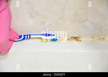 Pulire le piastrelle ammuffite con uno spazzolino da denti in bagno Foto Stock