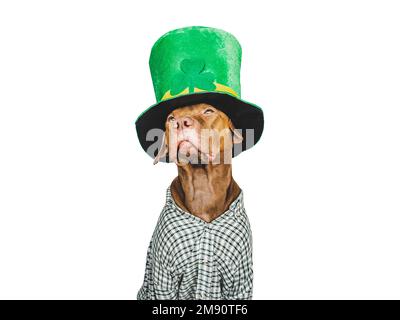 Cucciolo e un cappello verde brillante leprechaun Foto Stock