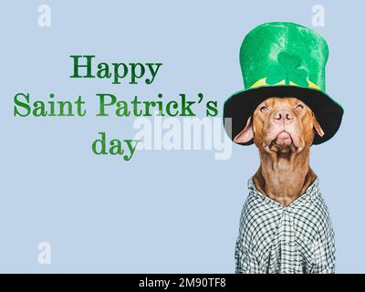 Cucciolo e un cappello verde brillante leprechaun Foto Stock