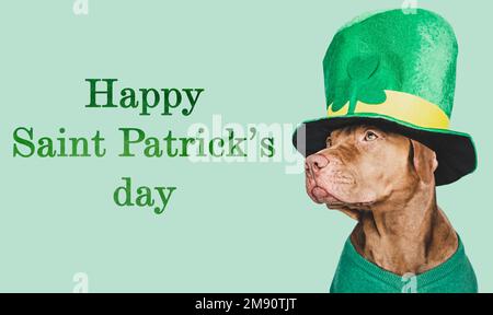 Cucciolo e un cappello verde brillante leprechaun Foto Stock