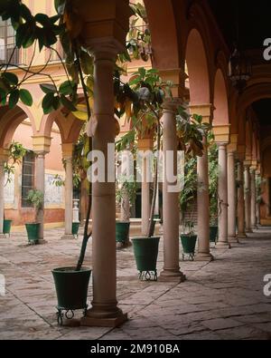 PATIO. AUTORE: PEDRO SANCHEZ FALCONETE (1586-1666). UBICAZIONE: HOPITAL DE LA CHARITE. Siviglia. Siviglia. SPAGNA. Foto Stock