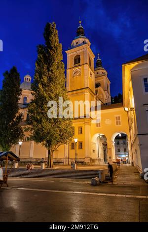 Cattedrale di Lubiana - Chiesa di San Nicola di notte nella città di Lubiana, Slovenia. Foto Stock