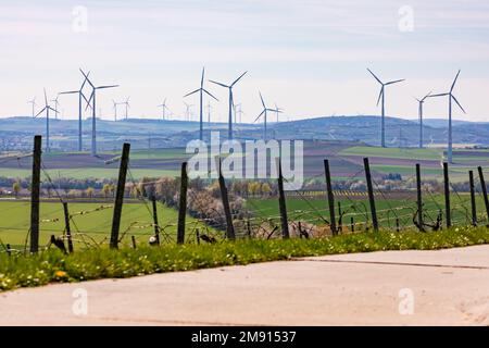 Paesaggio con vigneti e campi davanti a innumerevoli turbine eoliche all'orizzonte in Renania-Palatinato Foto Stock