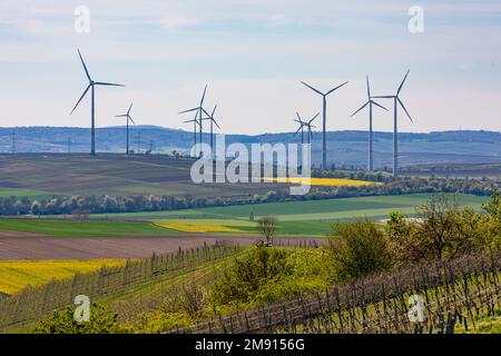Paesaggio rurale con vigneti e turbine eoliche per la produzione di energia elettrica per la tedesca Energiewende in crisi energetica globale Foto Stock