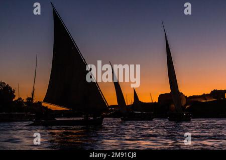 Vista serale delle barche a vela Felucca sul fiume Nilo ad Assuan, Egitto Foto Stock