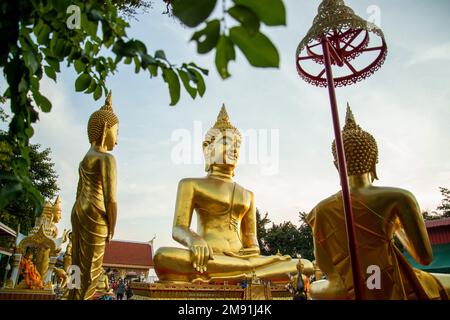 Il Tempio del Grande Buddha sulla collina Pratamnak nella città di Jomtien vicino a Pattaya nella provincia di Chonburi in Thailandia, Thailandia, Pattaya, novembre, Foto Stock