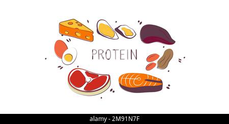 Protein-containing food. Groups of healthy products containing vitamins and minerals. Set of fruits, vegetables, meats, fish and dairy. Illustrazione Vettoriale