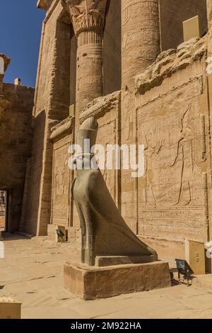 Horus come falco che custodisce il tempio di Edfu, Egitto Foto Stock