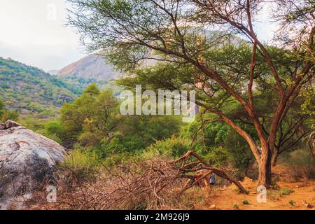 Vista panoramica delle montagne di Ndato a Ngurunit, Marsabit County, Kenya Foto Stock