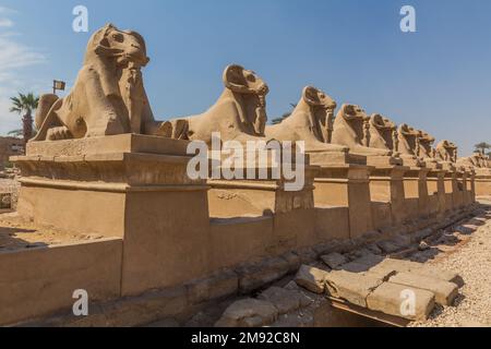 Viale dei Rams di fronte al tempio di Karnak a Luxor, Egitto Foto Stock