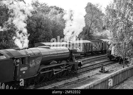 Un colpo in scala di grigi del treno Flying Scotsman in attesa sulle ferrovie di Swan, Regno Unito Foto Stock