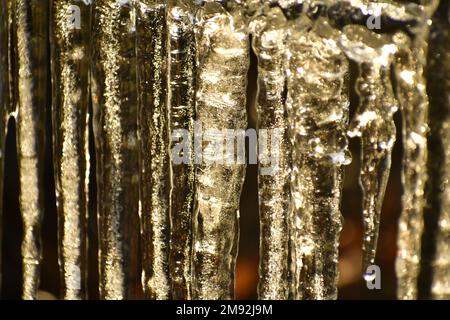 Ghiaccioli alla luce naturale del sole nel pomeriggio scintillante ad angolo, il sole che scioglie il ghiaccio, prismi di febbraio Foto Stock