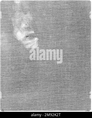 Lady in Black Emil Fuchs (americano, nato in Austria, 1866-1929). Lady in Black, 1901. Olio su tela, 46 15/16 x 36 15/16 poll. (119,2 x 93,8 cm). Arte americana 1901 Foto Stock