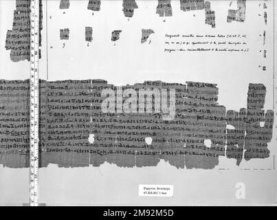 Snakebite Papyrus Snakebite Papyrus, 589-525 B.C.E. Papiro, inchiostro, totale: 10 5/8 x 68 7/8 pollici (27 x 175 cm). Egiziano, Classico, Antica Arte Vicino Orientale 589-525 B.C.E. Foto Stock