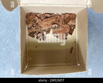 Snakebite Papyrus Snakebite Papyrus, 589-525 B.C.E. Papiro, inchiostro, totale: 10 5/8 x 68 7/8 pollici (27 x 175 cm). Egiziano, Classico, Antica Arte Vicino Orientale 589-525 B.C.E. Foto Stock